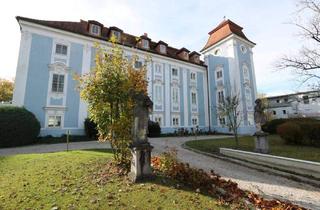 Wohnung kaufen in 4600 Wels, Angebot liegt vor! Wohnen im Schloss - 4 Zi. Wohnung mit historischem Flair in ansprechender Lage!