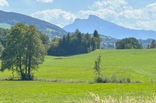 Grundstück zu kaufen in 4894 Oberhofen am Irrsee, Baugrundstück am Irrsee in herrlicher Alleinlage