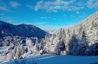 Haus kaufen in 8786 Oppenberg, Ihr persönliches Refugium: Gemütliches Wohnhaus mit Wellness-Highlights, Remise, Wald und atemberaubendem Bergblick