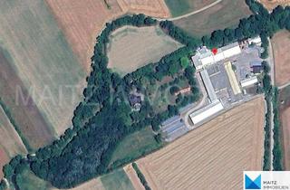 Gewerbeimmobilie kaufen in 2625 Schwarzau am Steinfeld, Historische Villa von Architekt Ignaz Endlweber | inkl. Gewerbeflächen & Kleinwasserkraft