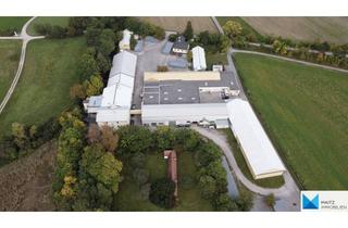 Gewerbeimmobilie kaufen in 2625 Schwarzau am Steinfeld, Historische Villa von Architekt Ignaz Endlweber | inkl. Gewerbeflächen & Kleinwasserkraft