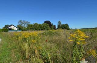 Grundstück zu kaufen in 2700 Wiener Neustadt, 1.930 m² Grundstück umgeben von Feldern