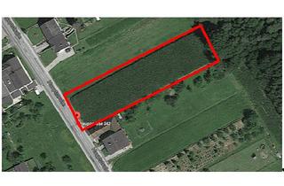 Grundstück zu kaufen in 7552 Stinatz, Baugrundstück in Stinatz mit 2500 m² sofort verfügbar