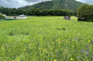 Grundstück zu kaufen in 8101 Kirchenviertel, Weitläufiges Baugrundstück in bester Lage