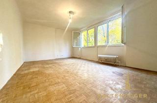 Wohnung mieten in 2500 Baden, Helle 1-Zimmer Wohnung nahe Zentrum