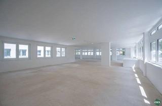 Büro zu mieten in Hietzinger Hauptstraße, 1130 Wien, Erstbezug: Moderne Büroflächen in Hietzinger Bestlage