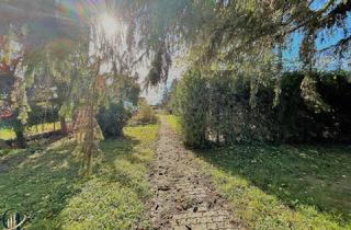 Grundstück zu kaufen in 3435 Zwentendorf an der Donau, Traumhaftes großes Baugrundstück in Zwentendorf !