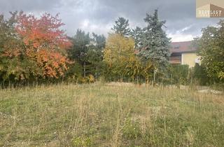 Grundstück zu kaufen in 2542 Kottingbrunn, Baugrundstück in Kottingbrunn