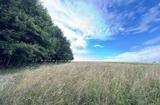 Gewerbeimmobilie kaufen in 3041 Großgraben, Land- und forstwirtschaftliche Fläche
