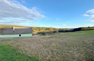 Grundstück zu kaufen in 7551 Stegersbach, Sonniger Baugrund in STEGERSBACH mit genug Grünland und Wald