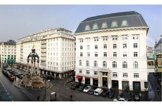Wohnung mieten in 1010 Wien, HELLE WOHNUNG MIT BLICK AUF DEN HOHEN MARKT - BEZUG FEBRUAR 2026