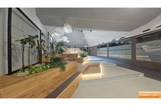 Praxen mieten in Fernkorngasse, 1100 Wien, TRAININGS - SCHULUNGSRAUM/RÄUME / BÜRO / PRAXIS / IN DER FERNKORNGASSE