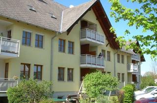 Wohnung mieten in Pflegfeldstraße 9/3, 4780 Schärding Innere Stadt, Objekt 519: 1-Zimmerwohnung in 4780 Schärding am Inn, Pflegfeldstraße 9, Top 3