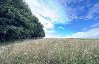 Immobilie kaufen in Neulengbach, 3041 Großgraben, Land- und forstwirtschaftliche Fläche