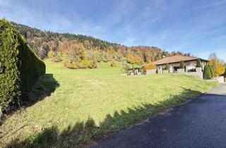 Grundstück zu kaufen in 6932 Langen bei Bregenz, Sonniges Baugrundstück in Langen zum Kauf: €225.000,00 pro Hausgrund mit 352 m2