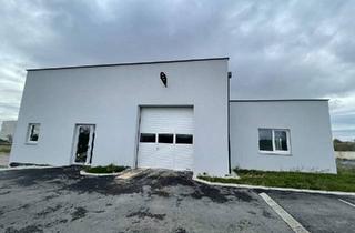 Büro zu mieten in 2601 Sollenau, Große Halle, Werkstatt, Lager ca. 180 m²