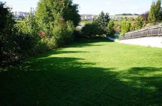 Haus kaufen in 3580 Horn, Mehrparteien-/Generationenhaus im direkten Zentrum (3 Wohneinheiten)