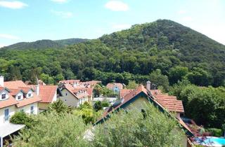 Villen zu kaufen in Gaadnerstraße 44B, 2371 Hinterbrühl, Exclusive Villa mit eigenem Lift im Haus, Pool und Grünblick - Neubau Erstbezug