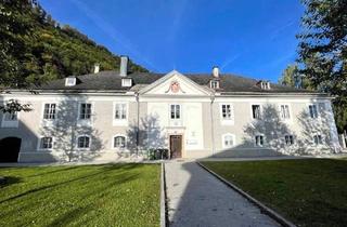 Wohnung mieten in 5400 Hallein, große 2 Zimmer Whg, getrennte Küche