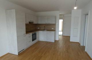 Wohnung mieten in 7091 Breitenbrunn am Neusiedler See, ERSTBEZUG MIT SÜDTERRASSE MIETE INKL. BETRIEBSKOSTEN