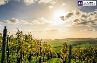 Haus kaufen in 8462 Gamlitz, Exklusiv! Besondere Anwesen in der wunderschönen Südsteiermark – Ihr Rückzugsort mit Charme, Komfort und einen unvergleichbarem Flair!