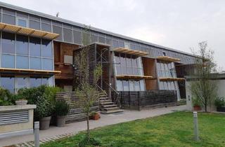 Wohnung mieten in Gartenstraße, 2223 Hohenruppersdorf, HOHENRUPPERSDORF I/1, geförderte Mietwohnung mit Kaufoption, EG TOP2, 1000/00010730/00001102