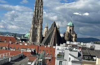Maisonette mieten in 1010 Wien, Blick zum Stephansdom