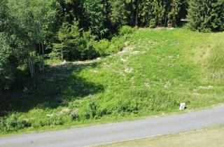 Grundstück zu kaufen in 4801 Traunkirchen, Ruhe spüren, See erleben - Ihr Zuhause in Traunkirchen!