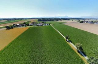 Immobilie kaufen in 4654 Aigen, Nachhaltig leben leicht gemacht - Ihr Acker macht's möglich!