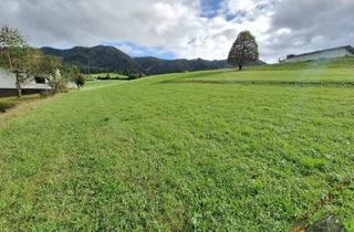 Grundstück zu kaufen in 8662 Mitterdorf im Mürztal, 6265 m2 Eigengrund! Kein Bauzwang! Ruhelage und Aussicht!