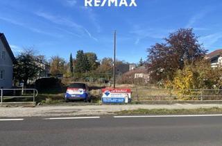 Grundstück zu kaufen in 4470 Enns, Ebenes, nahezu rechteckiges und damit leicht zu bebauendes Grundstück zwischen Enns und Kronstorf