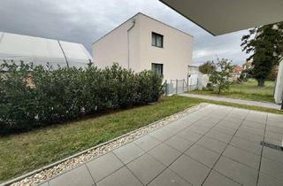 Wohnung mieten in Mittelstraße 14, 2211 Pillichsdorf, Betreutes Wohnen im idyllischen Pillichsdorf – große 2 Zimmerwohnung mit schöner Terrasse im EG