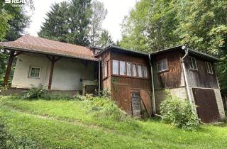 Haus kaufen in 8234 Rohrbach an der Lafnitz, Sanierungsobjekt mit großem Grundstück