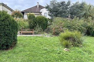 Haus mieten in 3400 Klosterneuburg, Einfamilienhaus mit Top Ausblick und Einliegerwohnung // Pool // Sauna // Terrasse // 2 Balkone // 2 Garagen