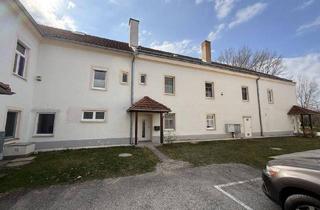 Büro zu mieten in 2483 Weigelsdorf, ERSTBEZUG nach RENOVIERUNG + BÜRO + SCHÖNER BLICK in den GARTEN!