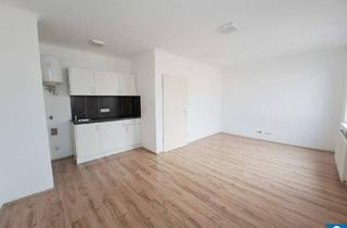 Wohnung mieten in Taborstraße, 1020 Wien, Freundliche 1-Zimmer-Singlewohnung nähe Augarten