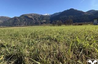 Grundstück zu kaufen in 9753 Kleblach, Baugrund im oberen Drautal - Bergblick inklusive Gr. 1