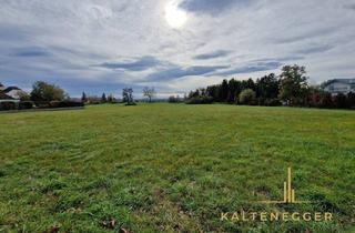 Grundstück zu kaufen in 2722 Weikersdorf am Steinfelde, Großzügiges Grundstück nahe der Hohen Wand mit Blick auf den Schneeberg
