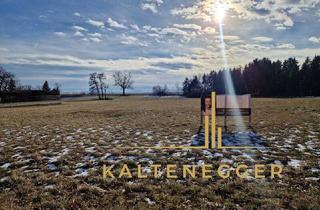 Grundstück zu kaufen in 2722 Winzendorf, TOP-GRUNDSTÜCK: Absolute Idylle mit traumhaftem Fernblick nahe zu Wiener Neustadt