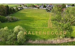 Grundstück zu kaufen in 2722 Winzendorf, Idyllisches Grundstück mit traumhaftem Fernblick auf den Schneeberg, nahe zur Hohen Wand