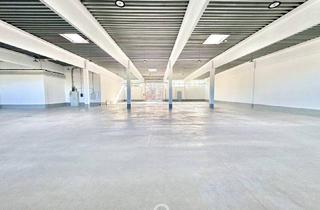 Büro zu mieten in 2345 Brunn am Gebirge, Lagerhalle in Brunn am Gebirge zu mieten