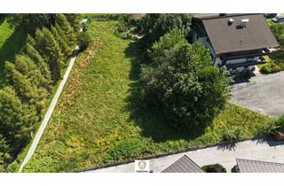 Grundstück zu kaufen in 6365 Kirchberg in Tirol, Traumhaftes Baugrundstück mit unverbaubarem Ausblick