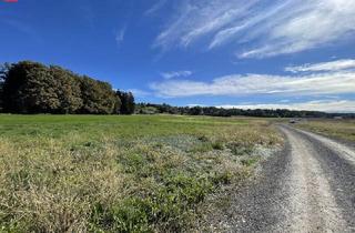 Grundstück zu kaufen in 8151 Hitzendorf, Familiärer Wohntraum mit Grünblick