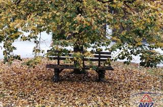 Gewerbeimmobilie kaufen in 3644 Emmersdorf an der Donau, Grünland und Marillengarten im südlichen Waldviertel!