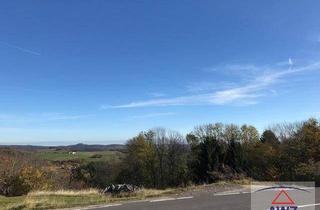 Haus kaufen in 2811 Wiesmath, Kleines Knusperhaus mit Wohnrecht!