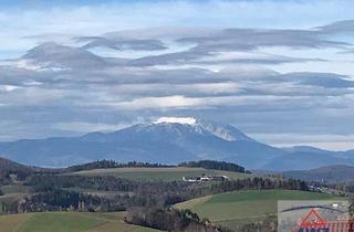 Haus kaufen in 2811 Wiesmath, Kleines Knusperhaus mit Wohnrecht!