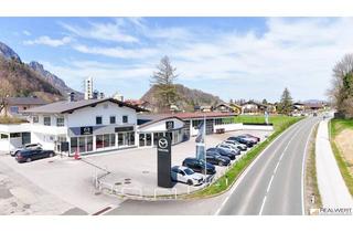 Büro zu mieten in 5400 Hallein, Multifunktionale Gewerbeflächen "Automotive" - Salzburg Süd | Hallein-Taxach