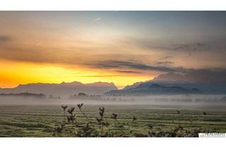 Grundstück zu kaufen in Moosstraße, 5020 Salzburg, MORGENTAU AM GRÜNLAND | PANORAMAGRUNDSTÜCK LEOPOLDSKRON