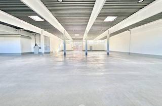 Lager mieten in 2345 Brunn am Gebirge, Lagerhalle in Brunn am Gebirge zu mieten