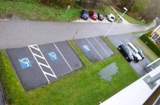 Immobilie mieten in Panholzerweg 40-74, 4030 Linz, Pkw Freistellplätze Für Privatmieter!